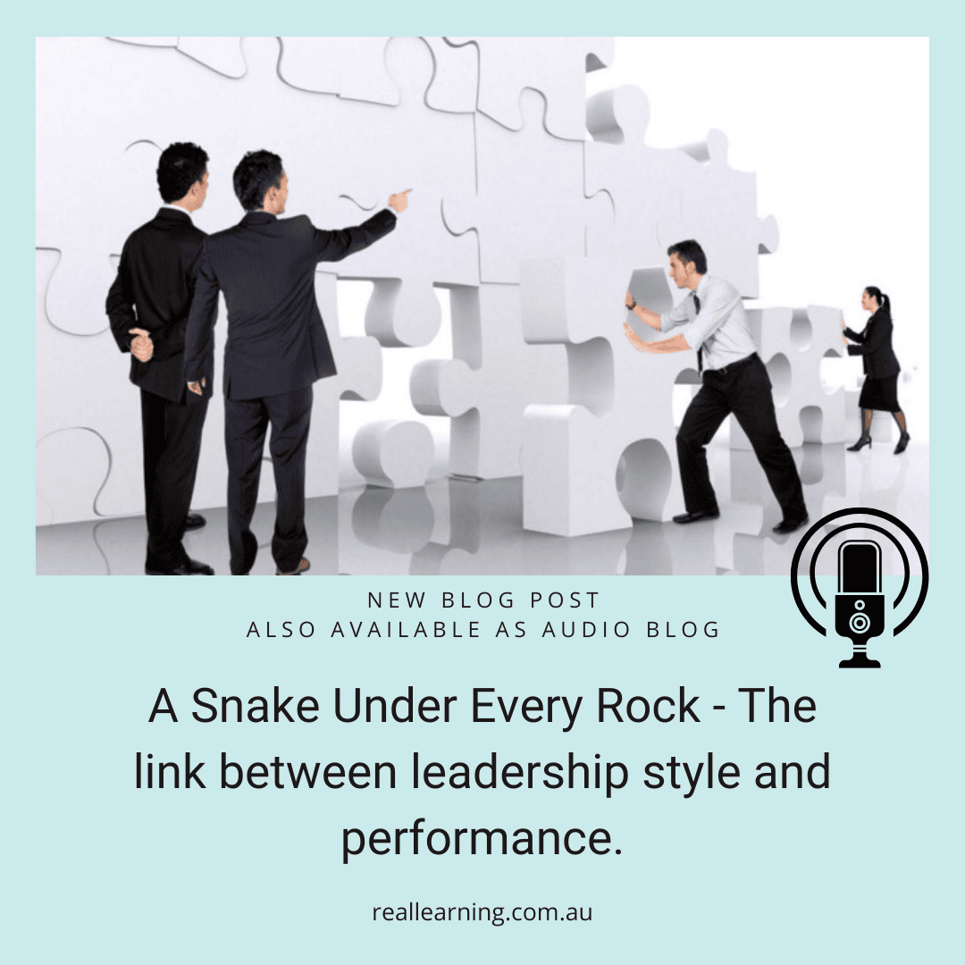 Blog-A-snake-under-every-rock-the-link-between-leadership-style-and-performance