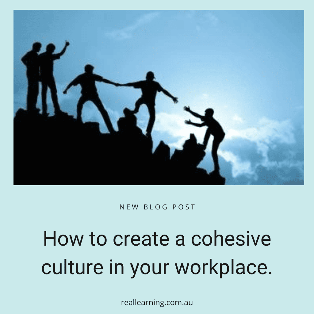 Cohesive Workplace Culture