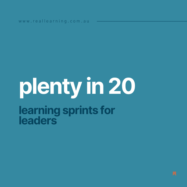 Plenty in 20 Learning Springs for Leaders